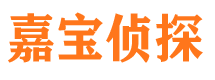 滨海市侦探公司